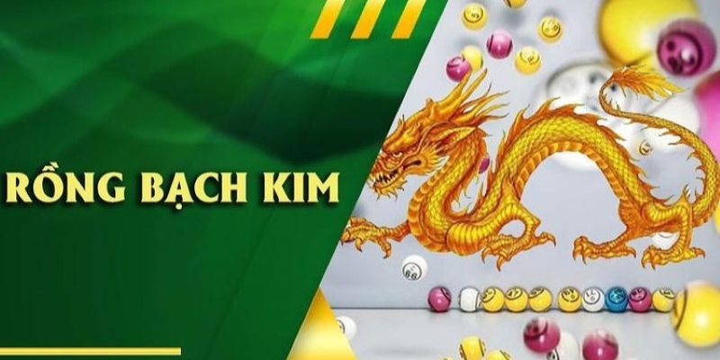 Vài nét về rồng bạch kim Kubet88